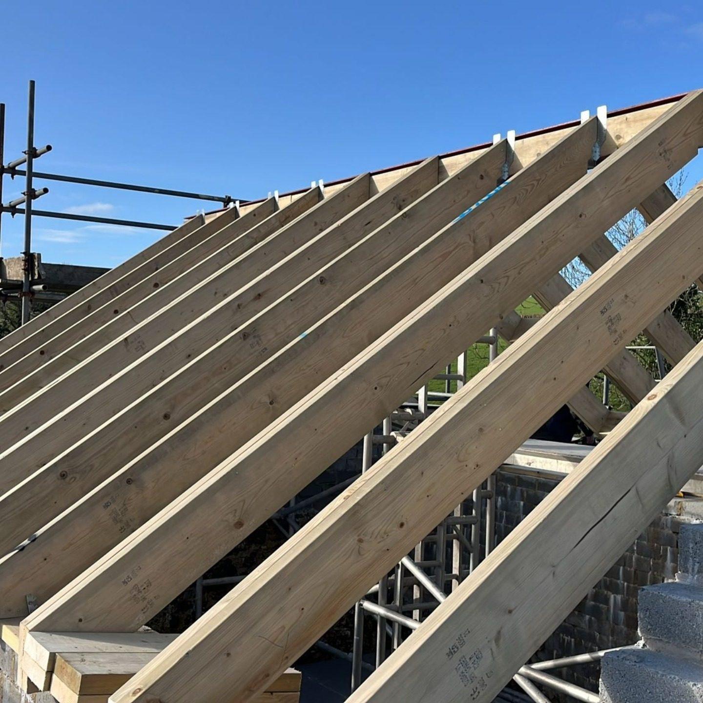 Freshly cut timber roof rafters against blue sky